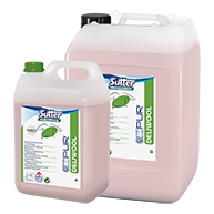 DELIWOOL gruppo RECY21