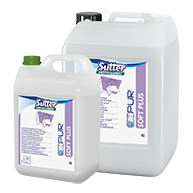 SOFT PLUS GRUPPO big